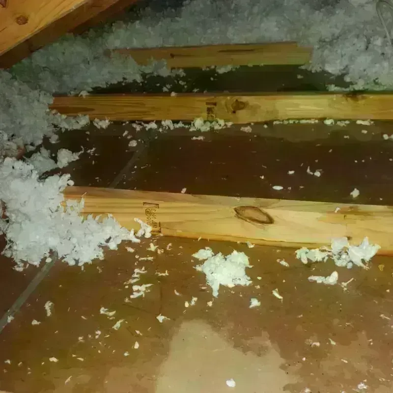 Attic Water Damage in East Carbon City, UT